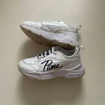 PUMA 카시아 SL 푸마 사쿠마 다이스케 SnowMan 화이트 24.5