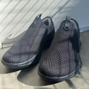 새상품 올버즈 All birds 트리대셔 리레이 25.5cm