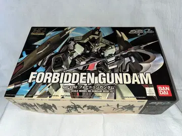 HG 1/144 GAT-X252 포비든 건담