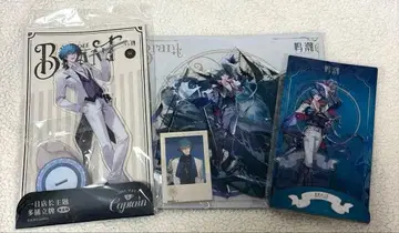 명조 브란트 아크릴 스탠드 포토 카드 세트