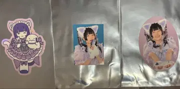 큐루링 해봐 타마키야네 스티커 3장 세트