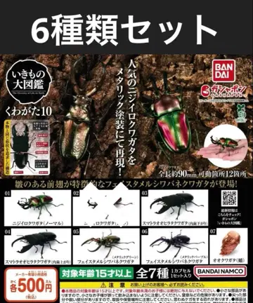 생물대도감 사슴벌레 10