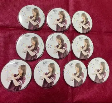 ANIMAX MUSIX 캔뱃지 오오하시 아야카 10점