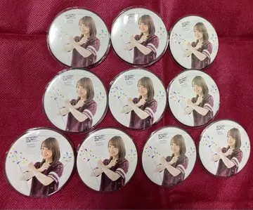 ANIMAX MUSIX 오하시 아야카 캔뱃지 10개