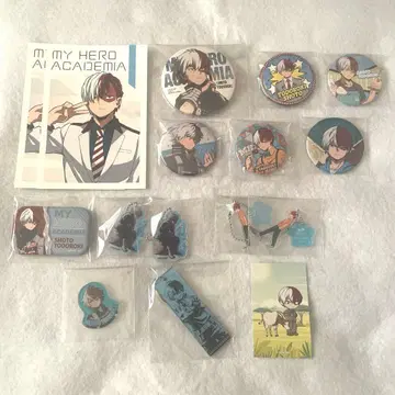 히로아카 토도로키 쇼토 묶음 판매