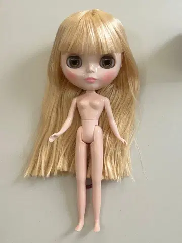 네오 브라이스 플레전트 서프라이즈