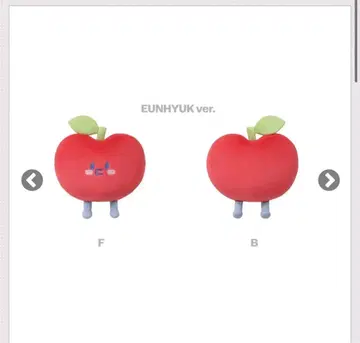 SUPERJUNIOR 은혁 쿠션