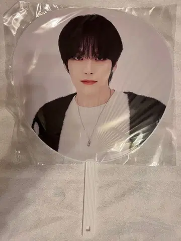 EPEX 이페 위시 위시 BIG 부채