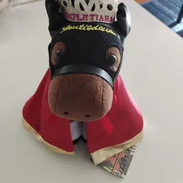 선착순 아이돌 호스 10주년 제17회 추계상 젠틸돈나