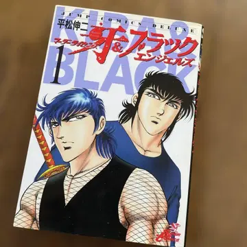 블랙 엔젤즈 & 마더 라이선스 이 13권 세트