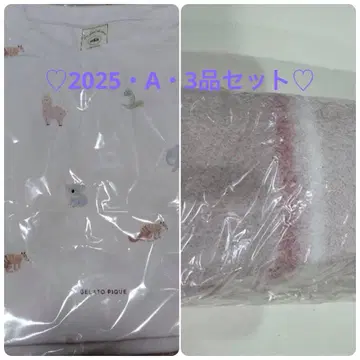 GELATO PIQUE 2025 A 3종 세트