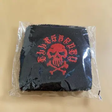 ELLEGARDEN 리스트 밴드 해골