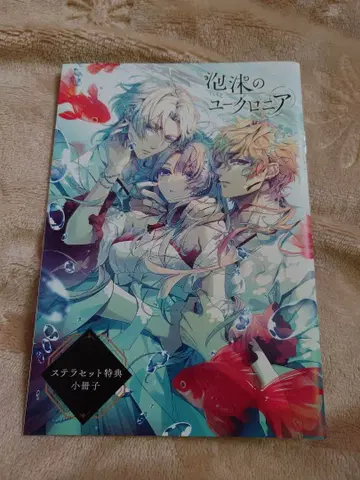 거품의 유크로니아 스텔라 소책자