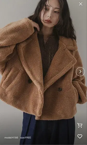 테디베어 숏코트