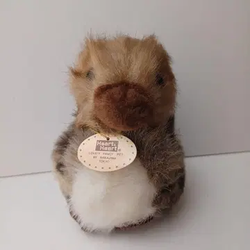 나카지마 오리  택 포함 레트로 당시물 오리 새끼