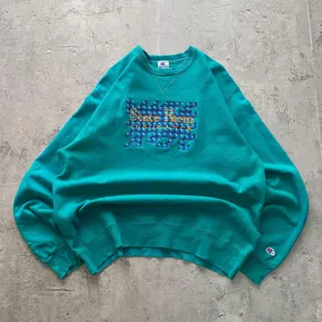 90's 챔피온 USA제 구제 의류 자수 맨투맨 어스 컬러 XL