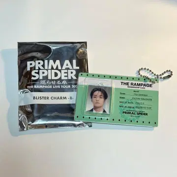 카와무라 카즈마 블리스터 참