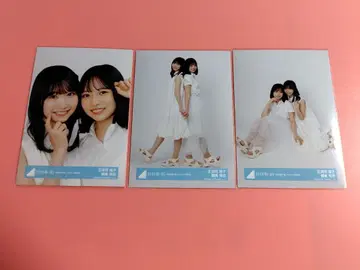 쇼겐지 요코 후지시마 카호 히나치카 46 절대적 제6감 자켓 의상