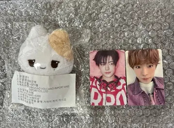 유우시 YUSHI nctwish 모짜르트 봉제 인형 트레이딩 카드