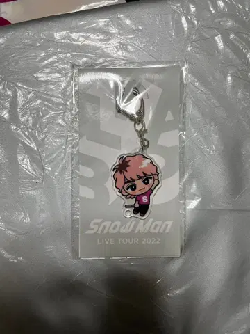 Snow Man LIVE TOUR 2022 키링