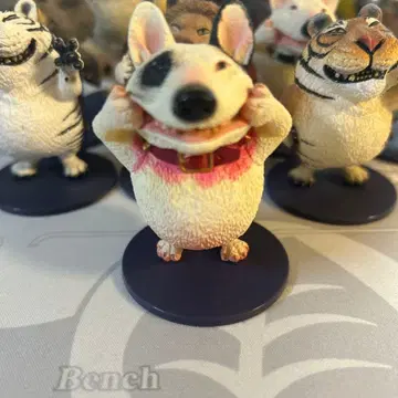 아사쿠마 토시오 하이 포즈 시크릿 불도그