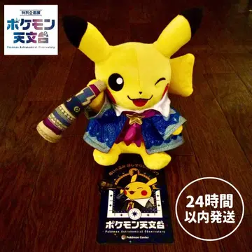 새상품 포켓몬 천문대 피카츄 봉제 인형