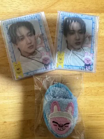 Stray Kids 창빈 돼끼 온라인 복권 사우나 스키즈