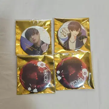 우라시마사카타센 시마 캔뱃지 4개