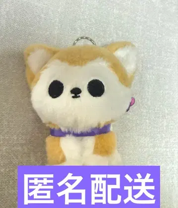 초특급 료가 생탄 티아라