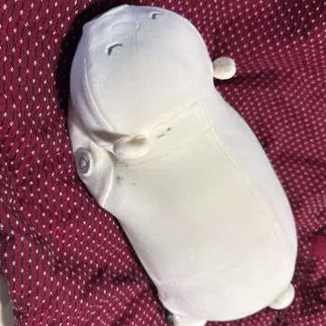 오야스미 구스피 화이트