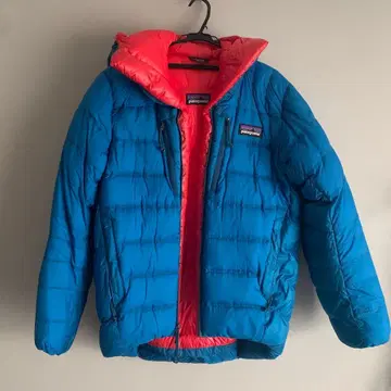 patagonia 다운 자켓 파랑