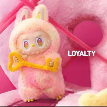 정품 러브브 Loyalty