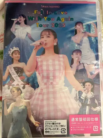 니시노 카나 DVD