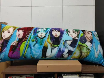 그노시아 롱 쿠션 타이토 스테이션