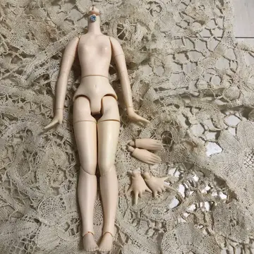 네오 브라이스 커스텀 브라이스 퓨어니모s 바디