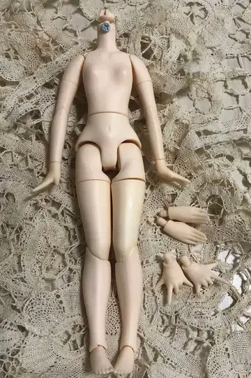 네오 브라이스 커스텀 브라이스 퓨어니모s 바디