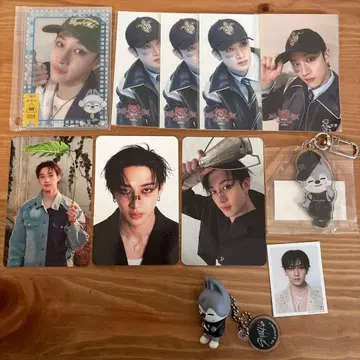 Stray Kids 스트레이 키즈 방찬