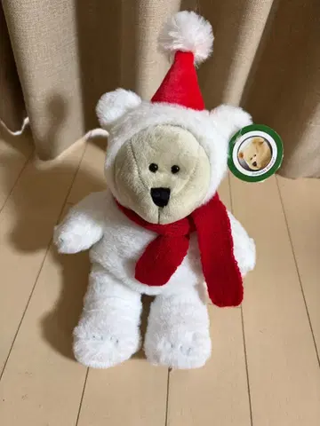 홀리데이 2021 베어리스타 보이