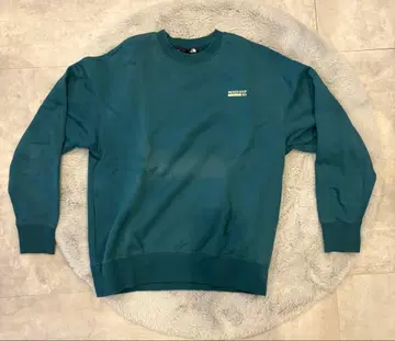 THE NORTH FACE NT12444 맨투맨