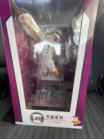 우시지마 와카토시 액션 피규어