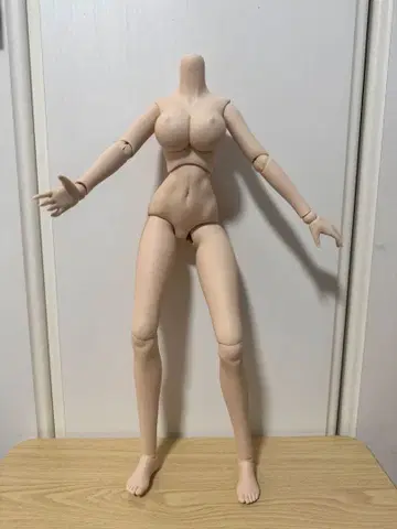 보크스 돌피드림 (DD) 베이스 바디 세미 화이트