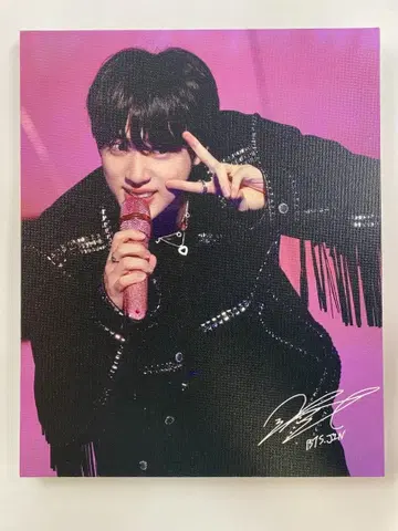 BTS JIN 캔버스 패널