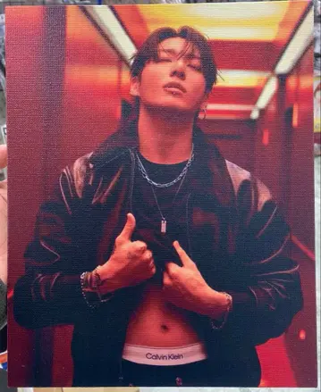 BTS 정국 캔버스 패널