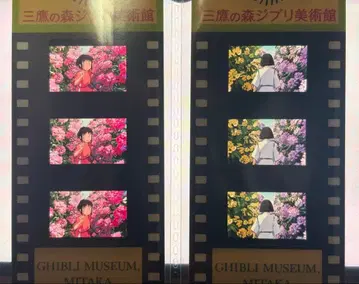 미타카의 숲 지브리 미술관 필름 입장권 티켓 센과 치히로의 행방불명