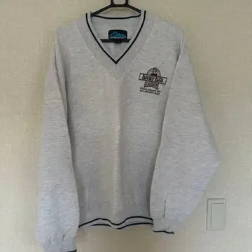 인-마운틴 그레이 V넥 트레이닝복