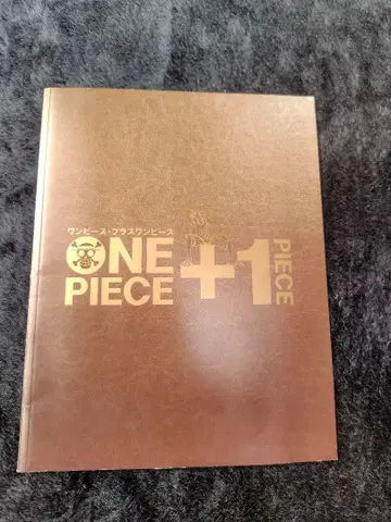 NE PIECE +1 원피스 영화 팜플렛