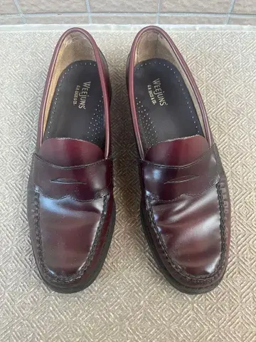 11035H LOGAN G.H.BASS 로건 와인 버스 US9