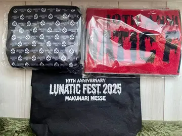 LUNATICFEST lunasea VIP 혜택 2025 마쿠하리 멧세