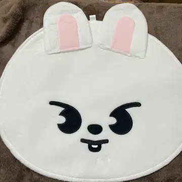 스키즈 부채 케이스 리노