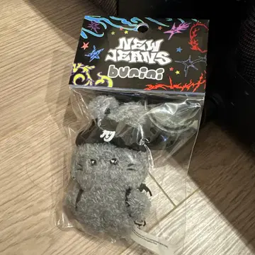 newjeans bunini 그레이